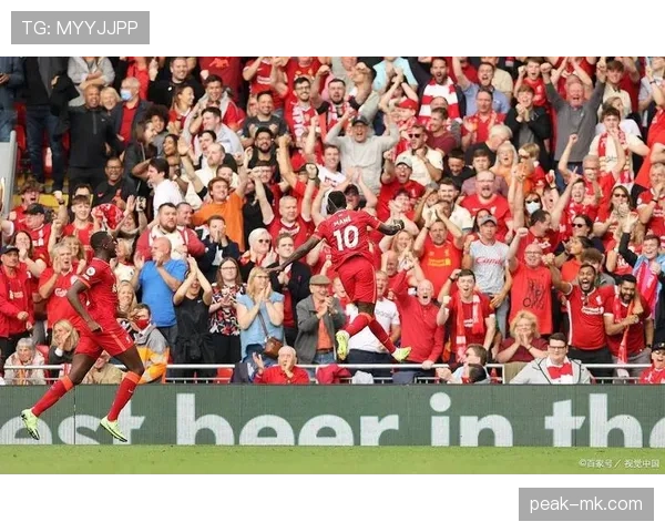 威尔逊状态火热闪耀英超，助球队强势冲击榜首