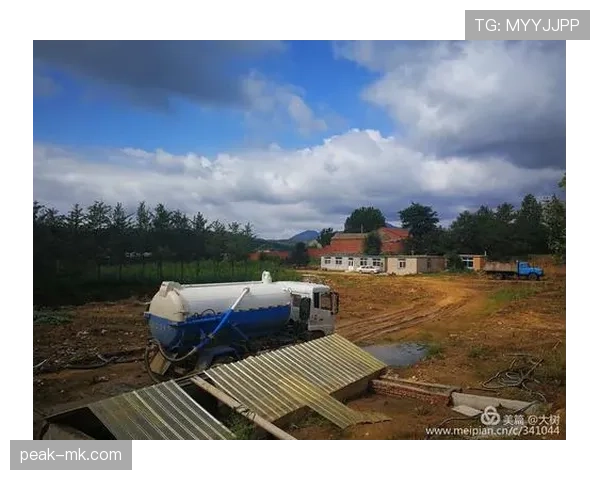 塞尔塔开启新时代:重塑形象稳步提升竞争力 塞尔塔开启新时代:重塑形象稳步提升竞争力