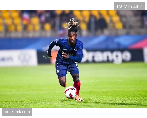 卡马文加数据对比