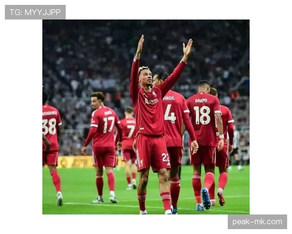 利物浦转会最新消息：夏窗引援目标与离队传闻