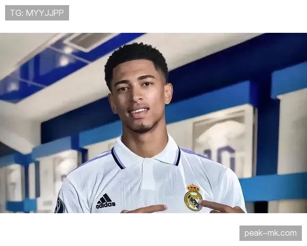 哈兰德与传控体系适配性分析