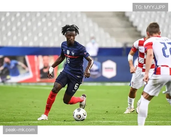 卡马文加体系适配性：中场角色与个人能力的平衡分析