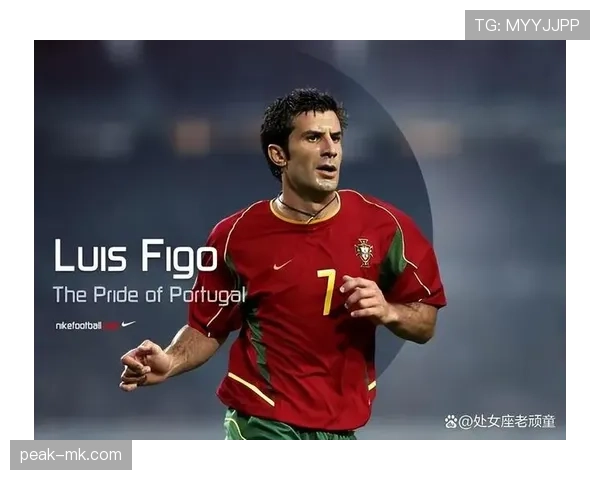 菲戈技术特点解析